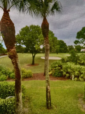 View from Balcony