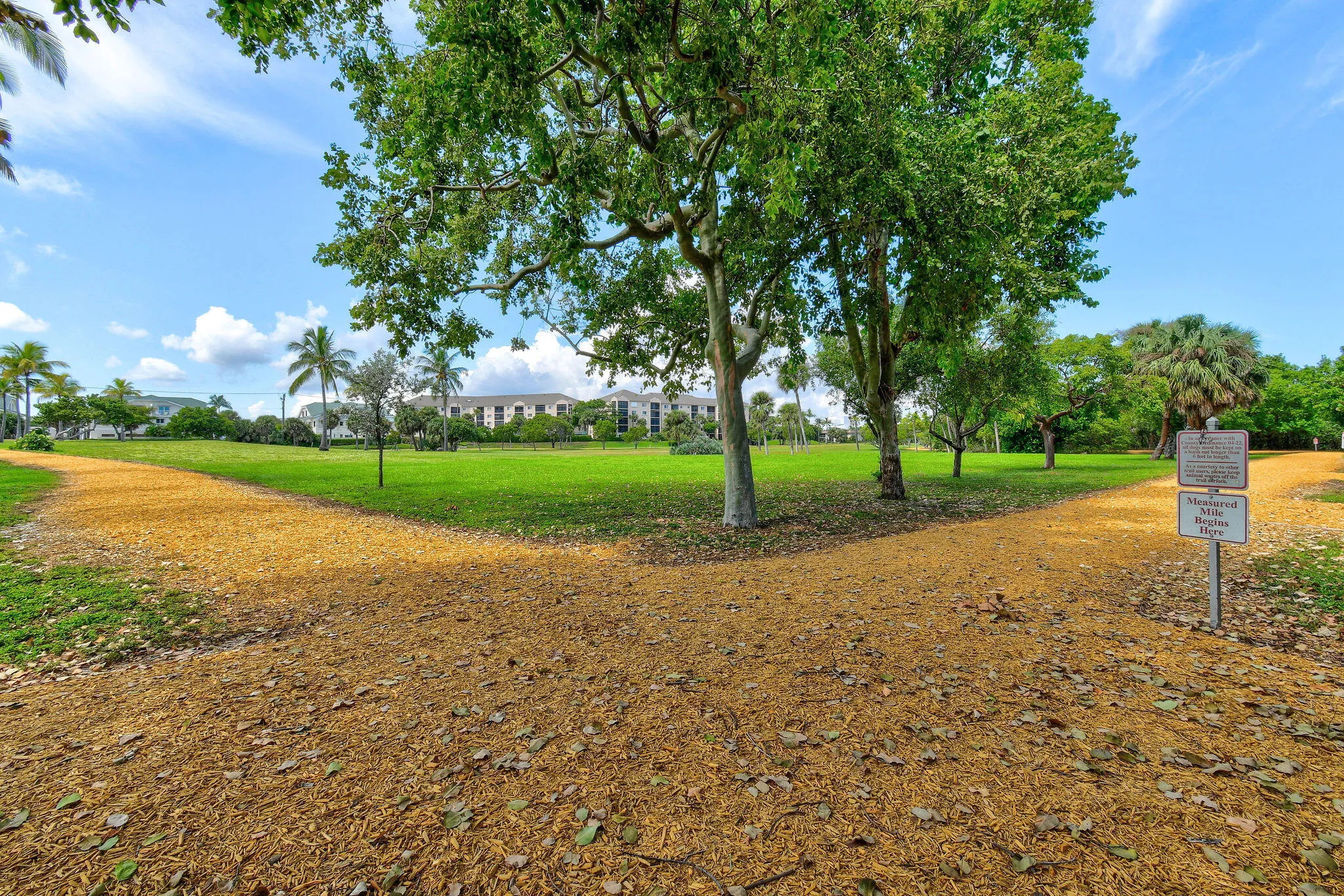 CarlinPark(5)