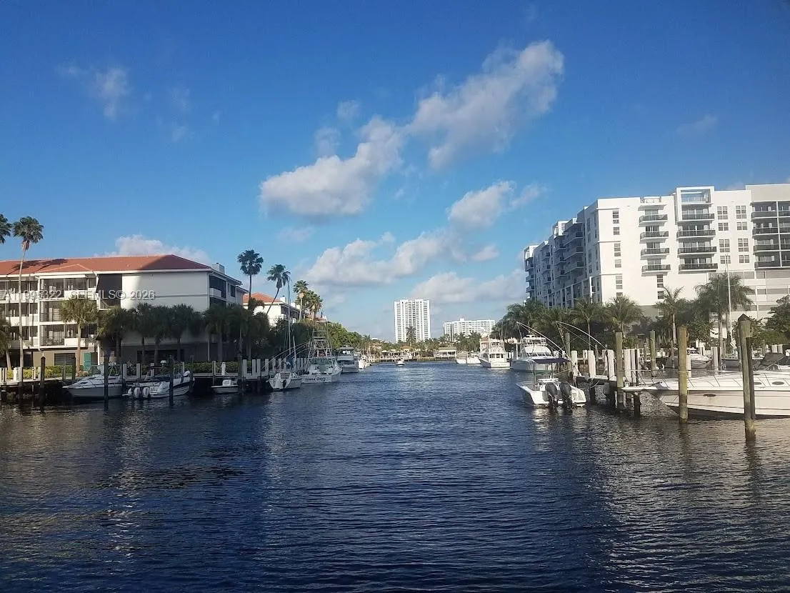 MARINA AREA