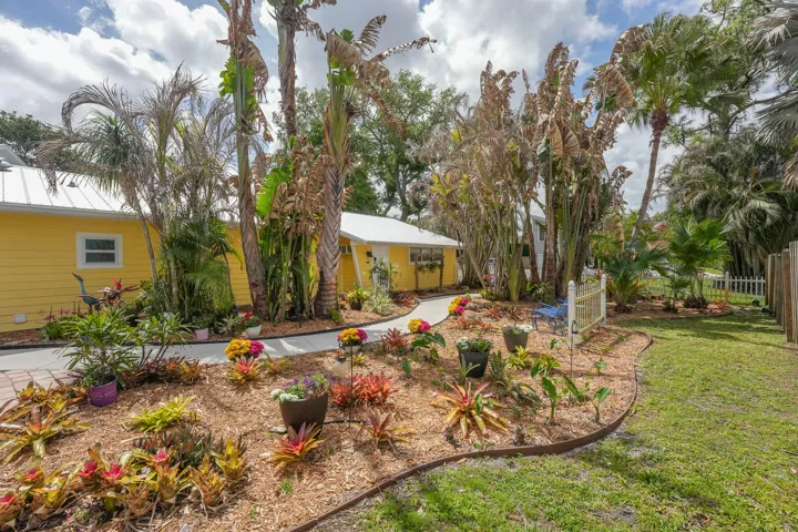 Garden view