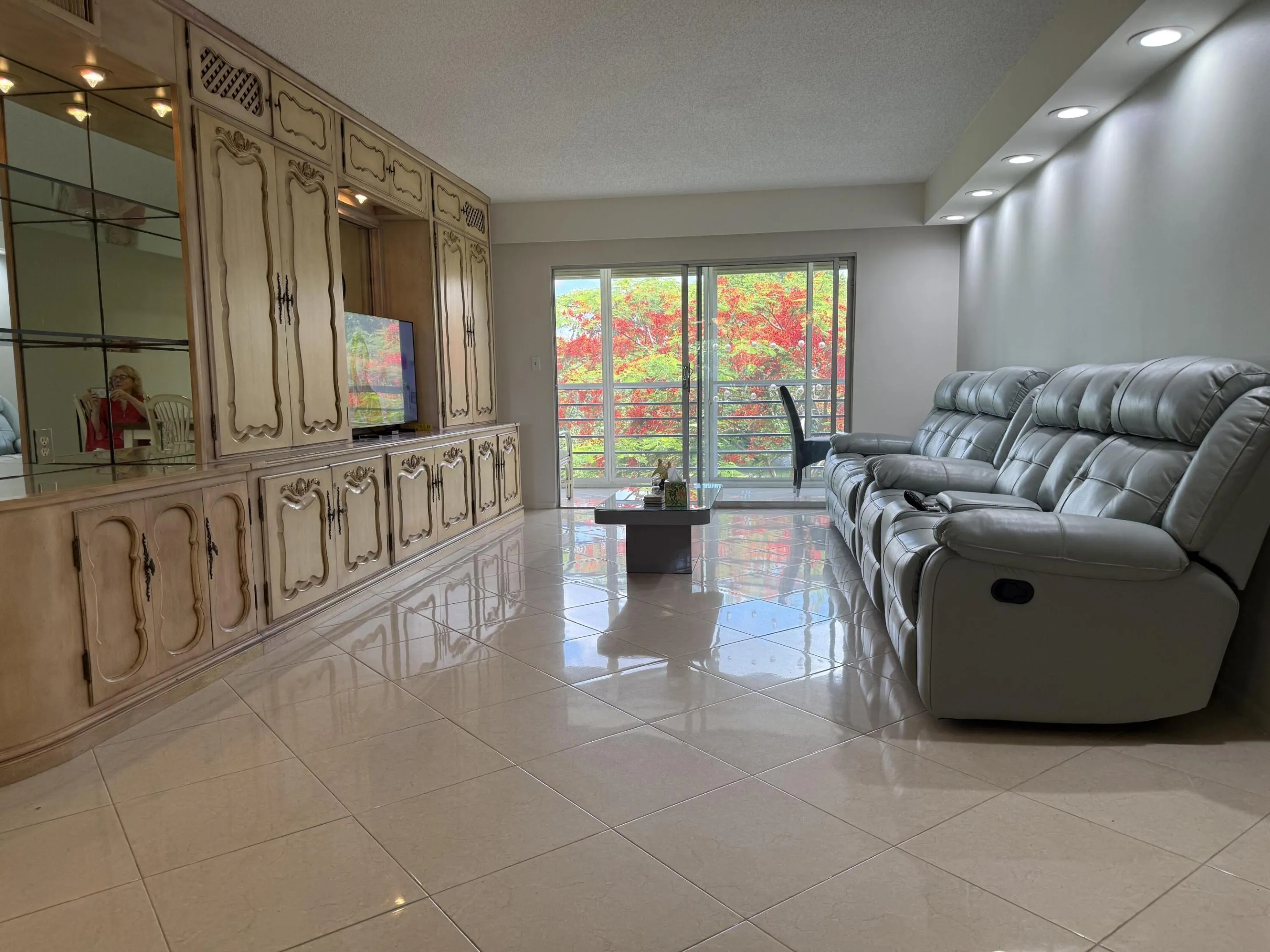 4701 k3 Royal Poinciana tree