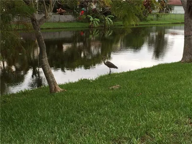 43d11e1b-b841-48c3-bb60-61eacbc313d1