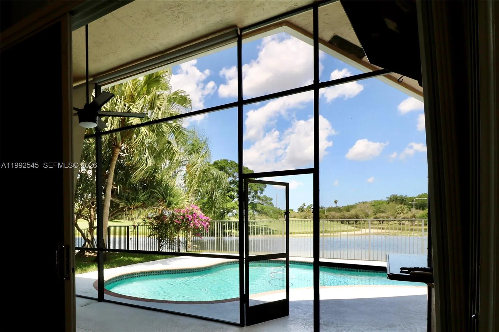 View from the screened porch outside