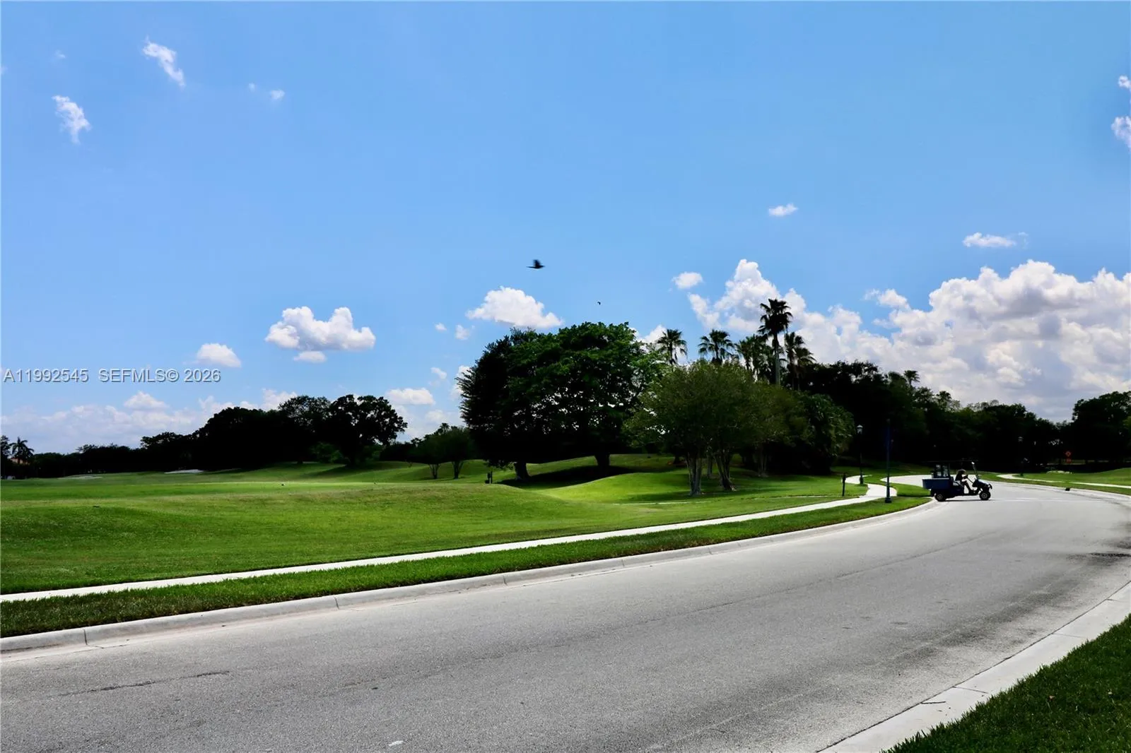 Golf field