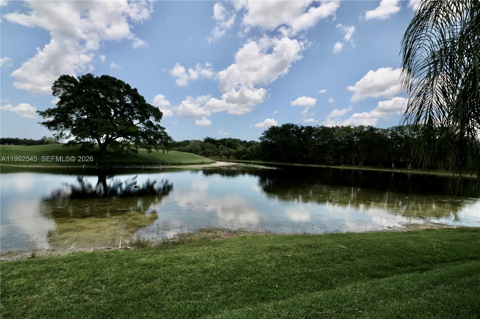Lake view