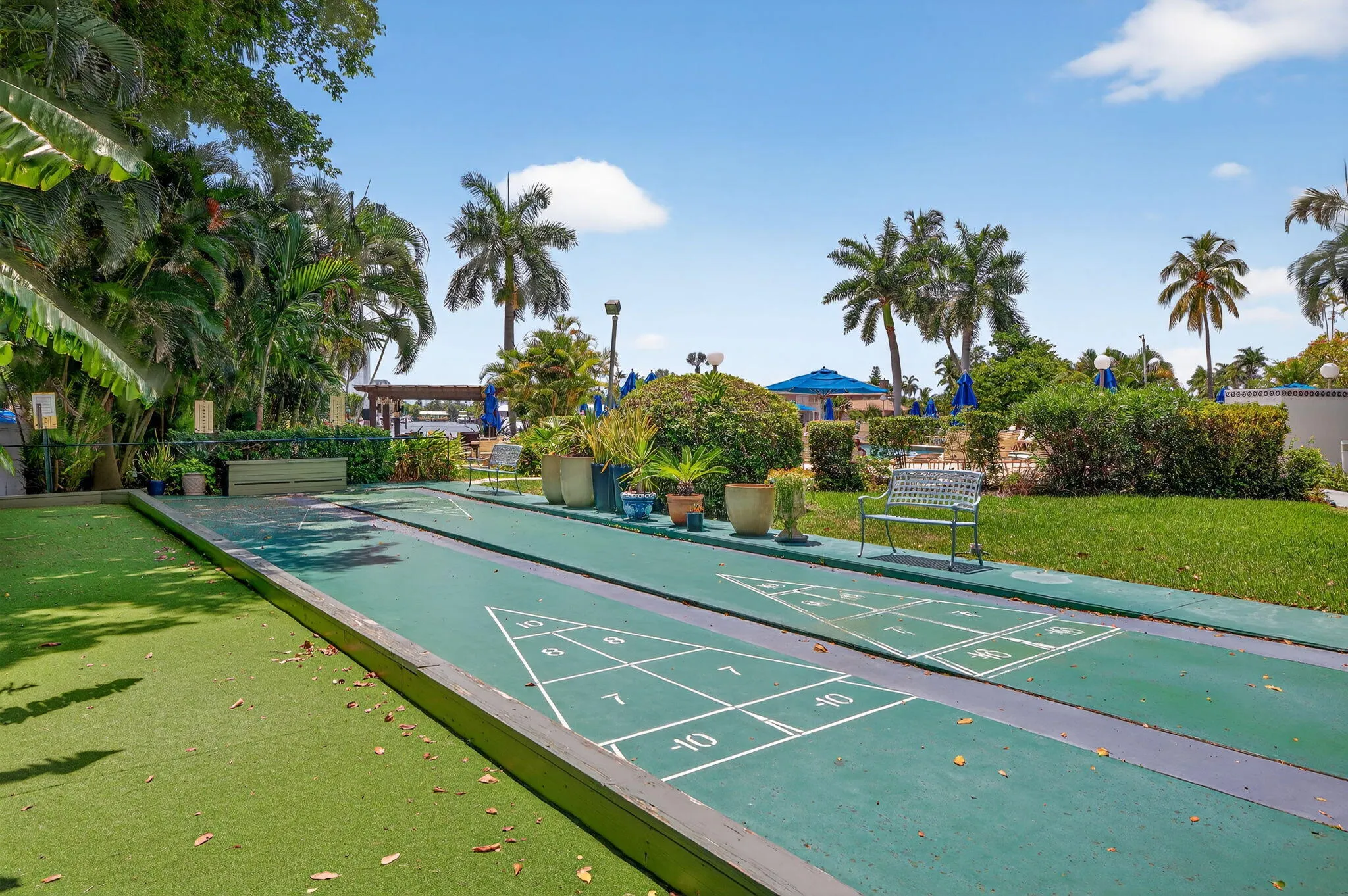 Shuffleboard