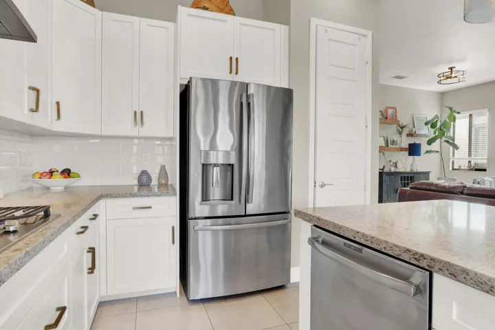 house kitchen fridge