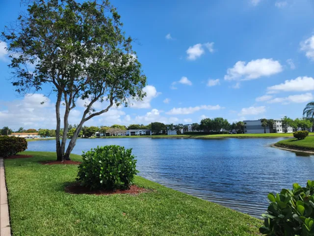 Lake