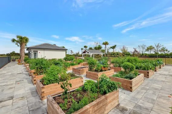 Property photo 69