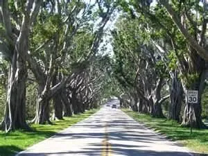 Hobe Sound Beach