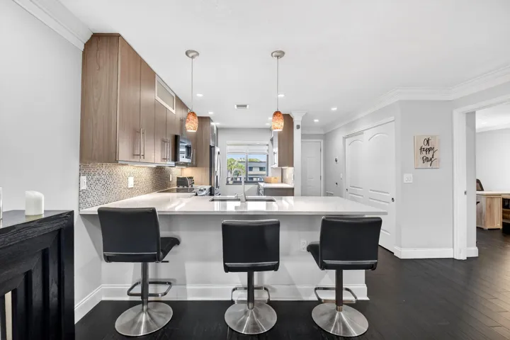 Kitchen and breakfast counter