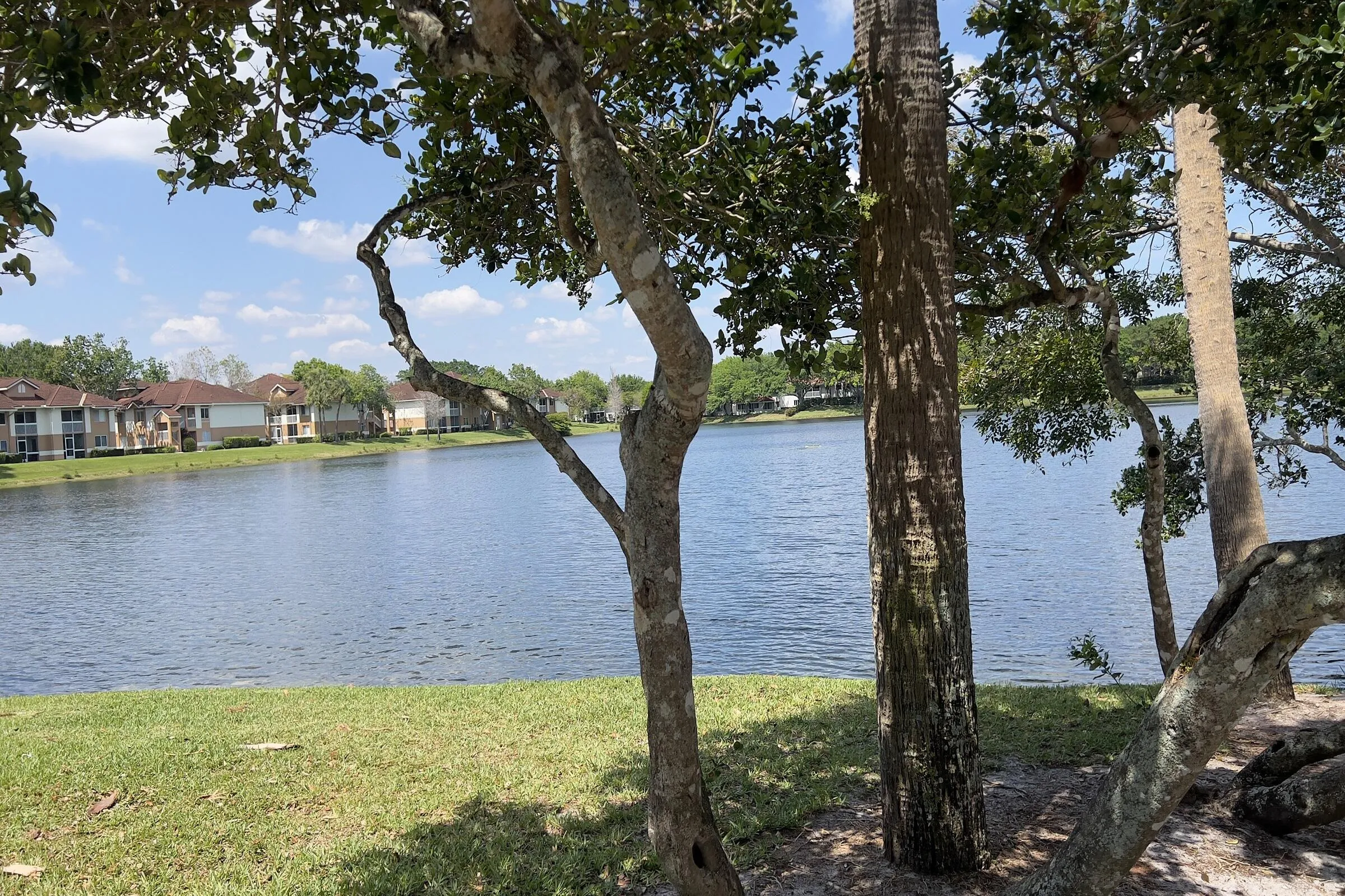 View from pool area
