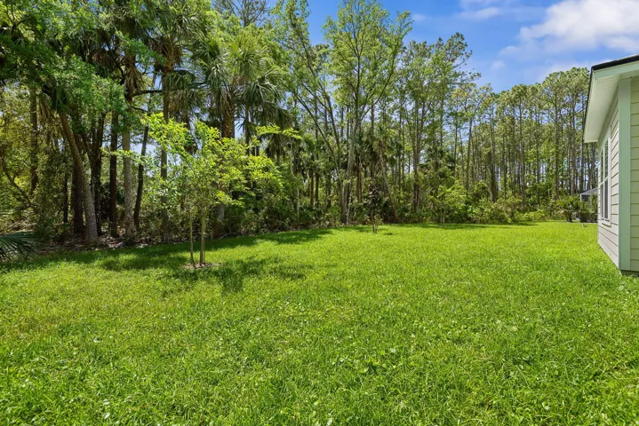45-web-or-mls-46 Poplar-45