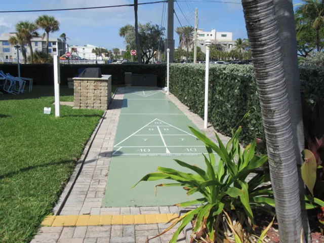 SHUFFLEBOARD