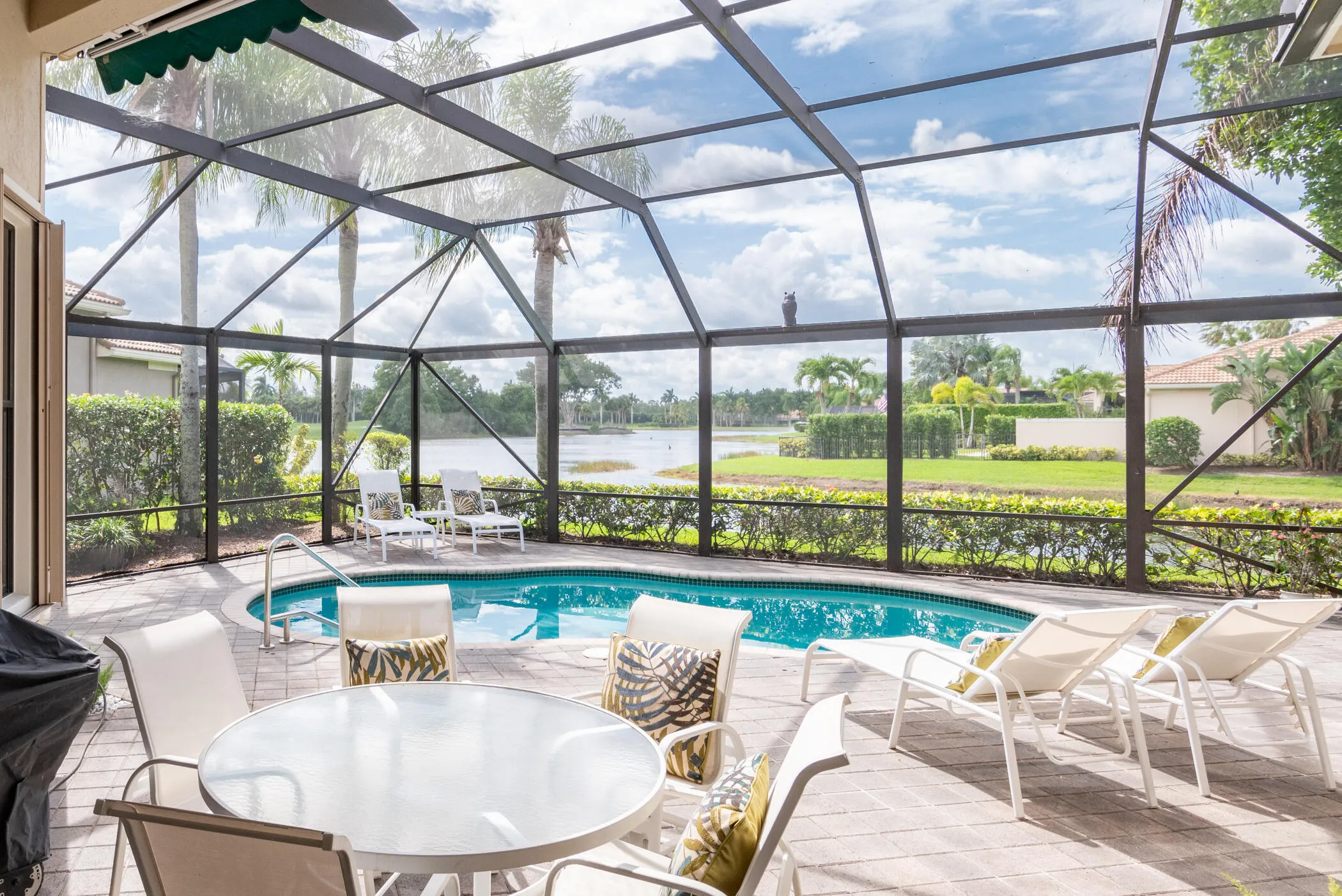 Pool and Patio