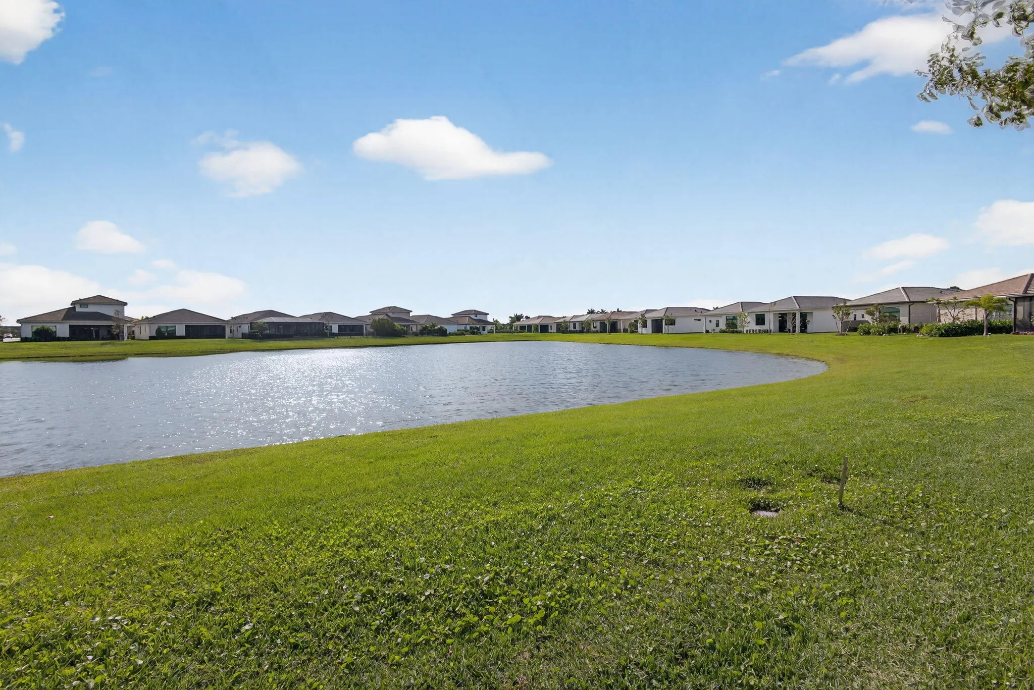 49-web-or-mls-5D1A4547