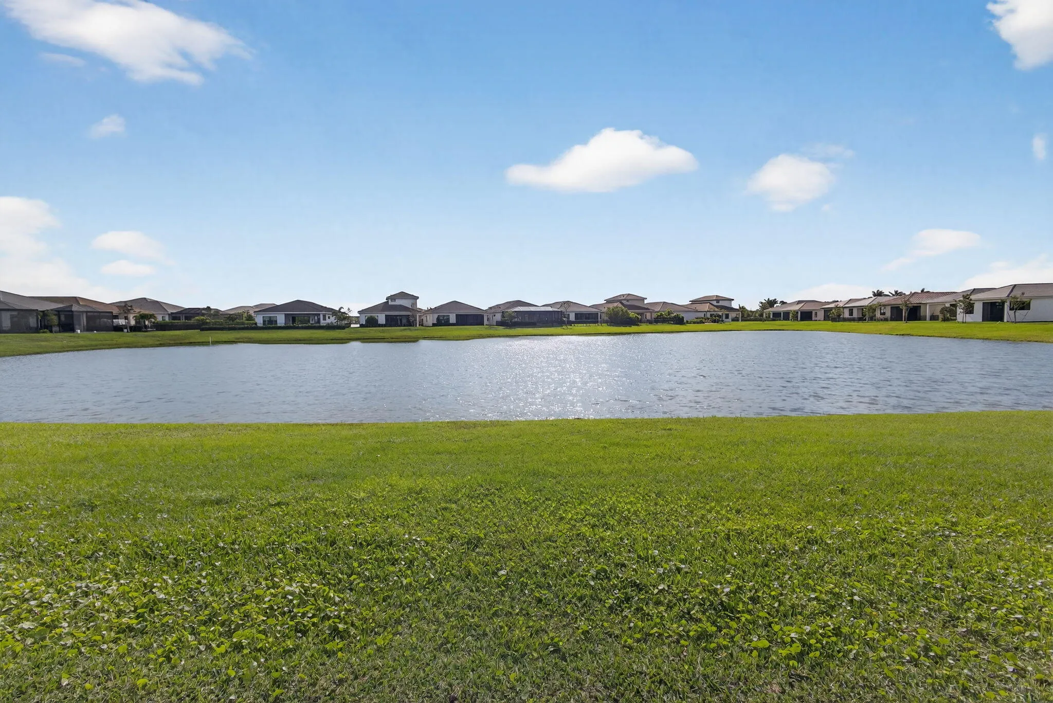 48-web-or-mls-5D1A4542