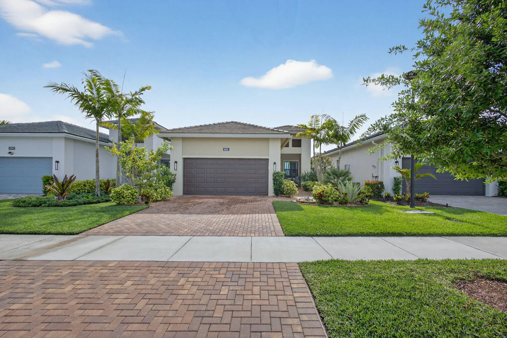 2-web-or-mls-5D1A4452
