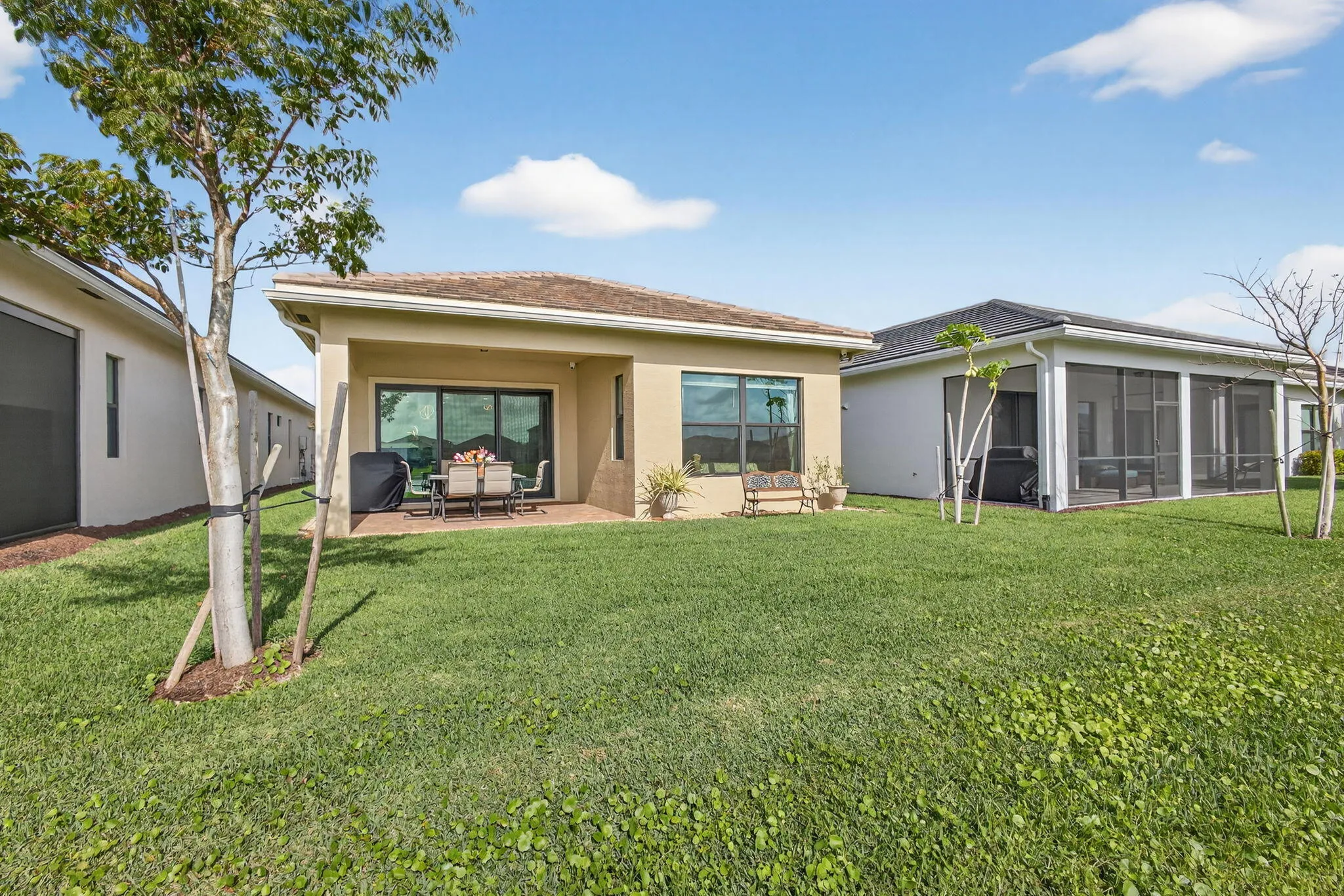 45-web-or-mls-5D1A4527