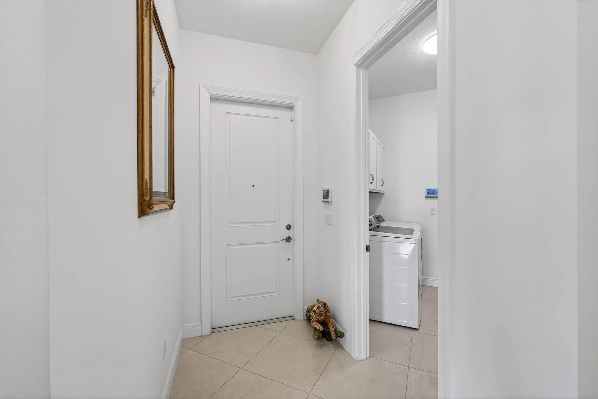 6-web-or-mls-5D1A4552