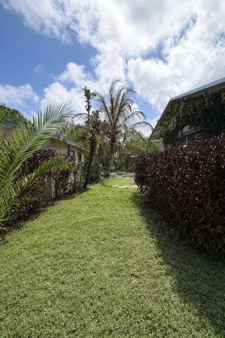 Side Yard