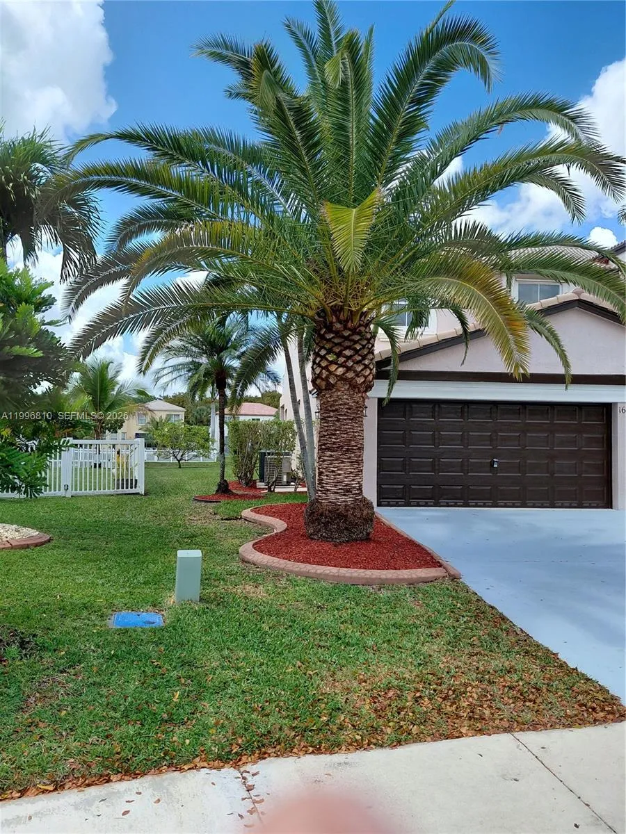 with yard view