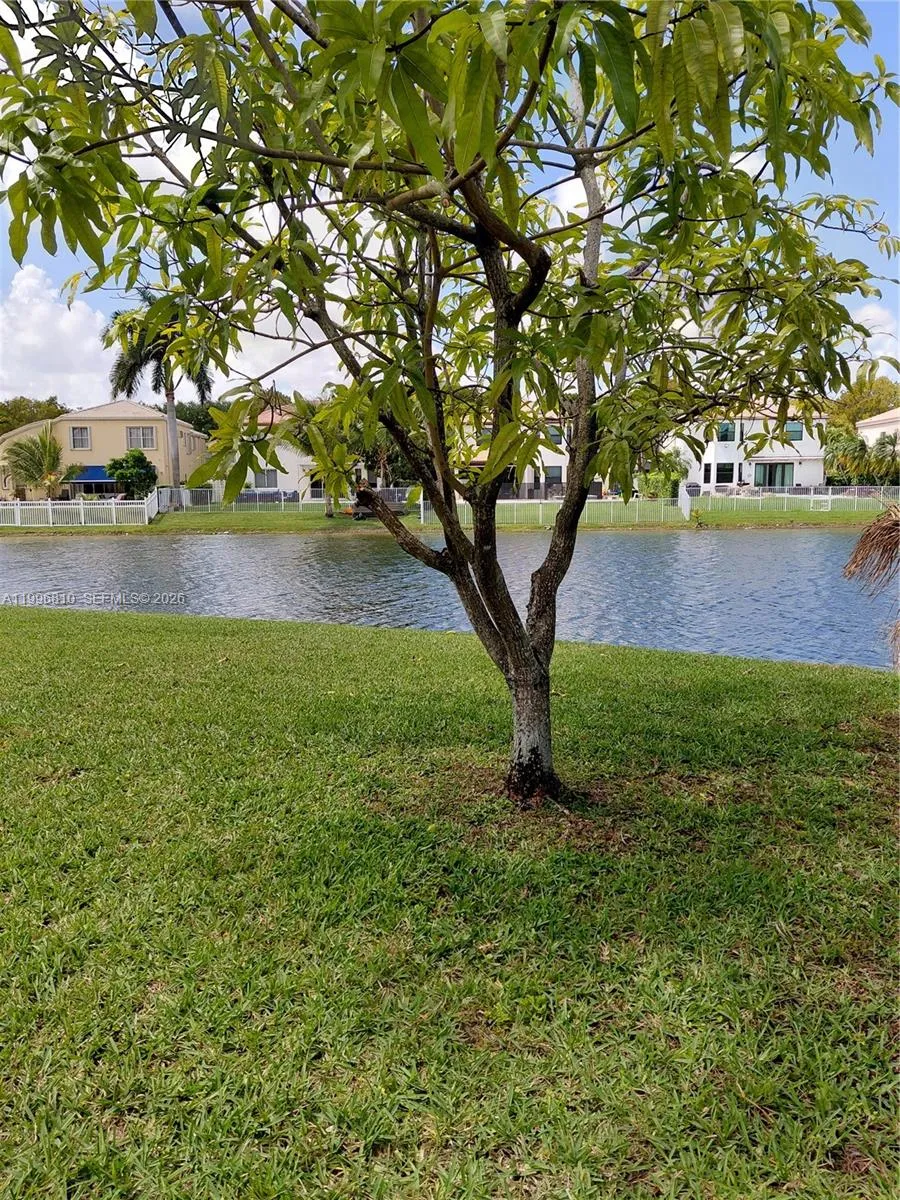 side and lake view
