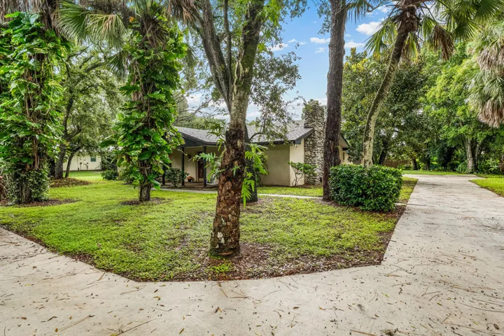 Driveway