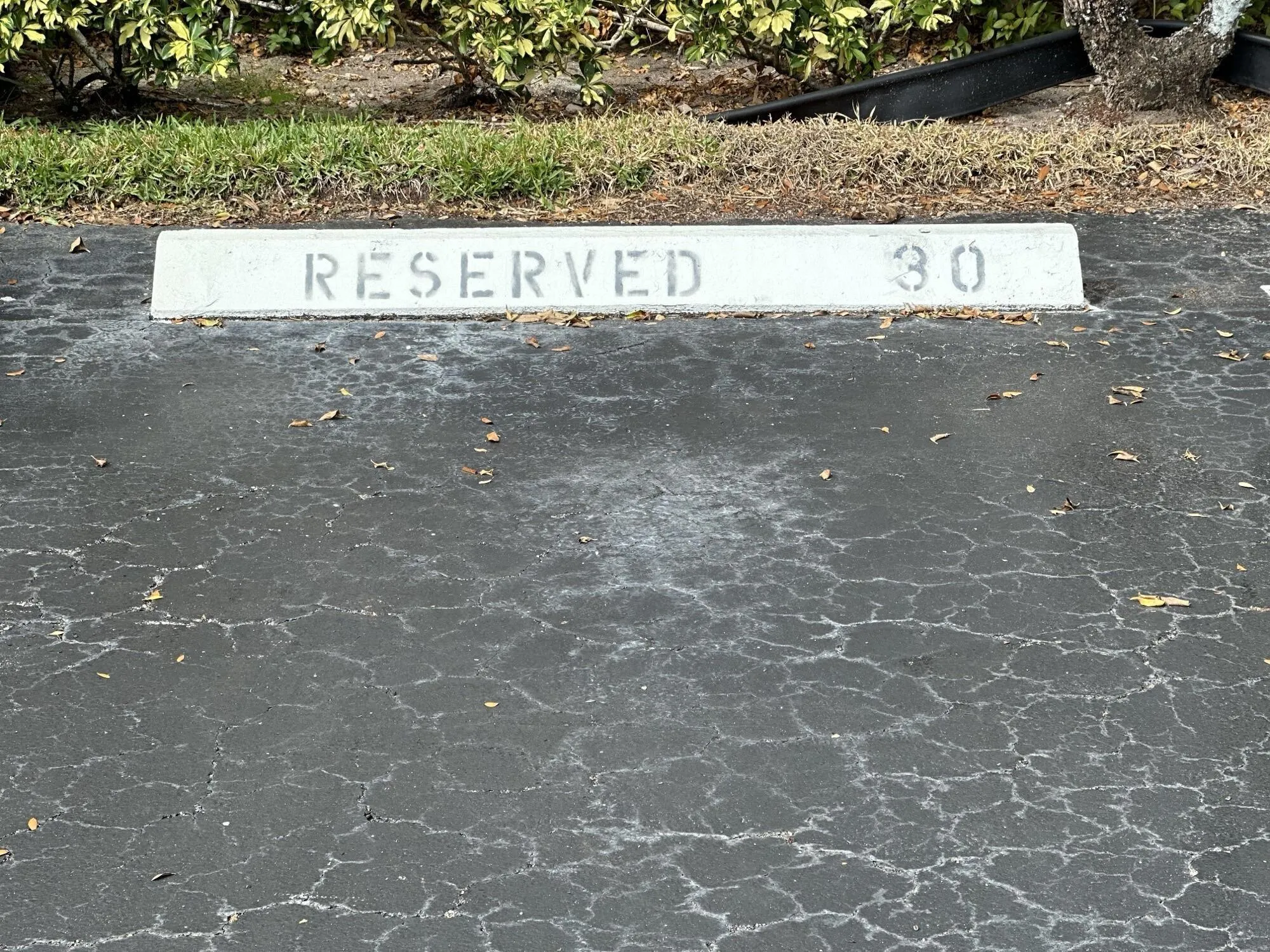 Parking Spot