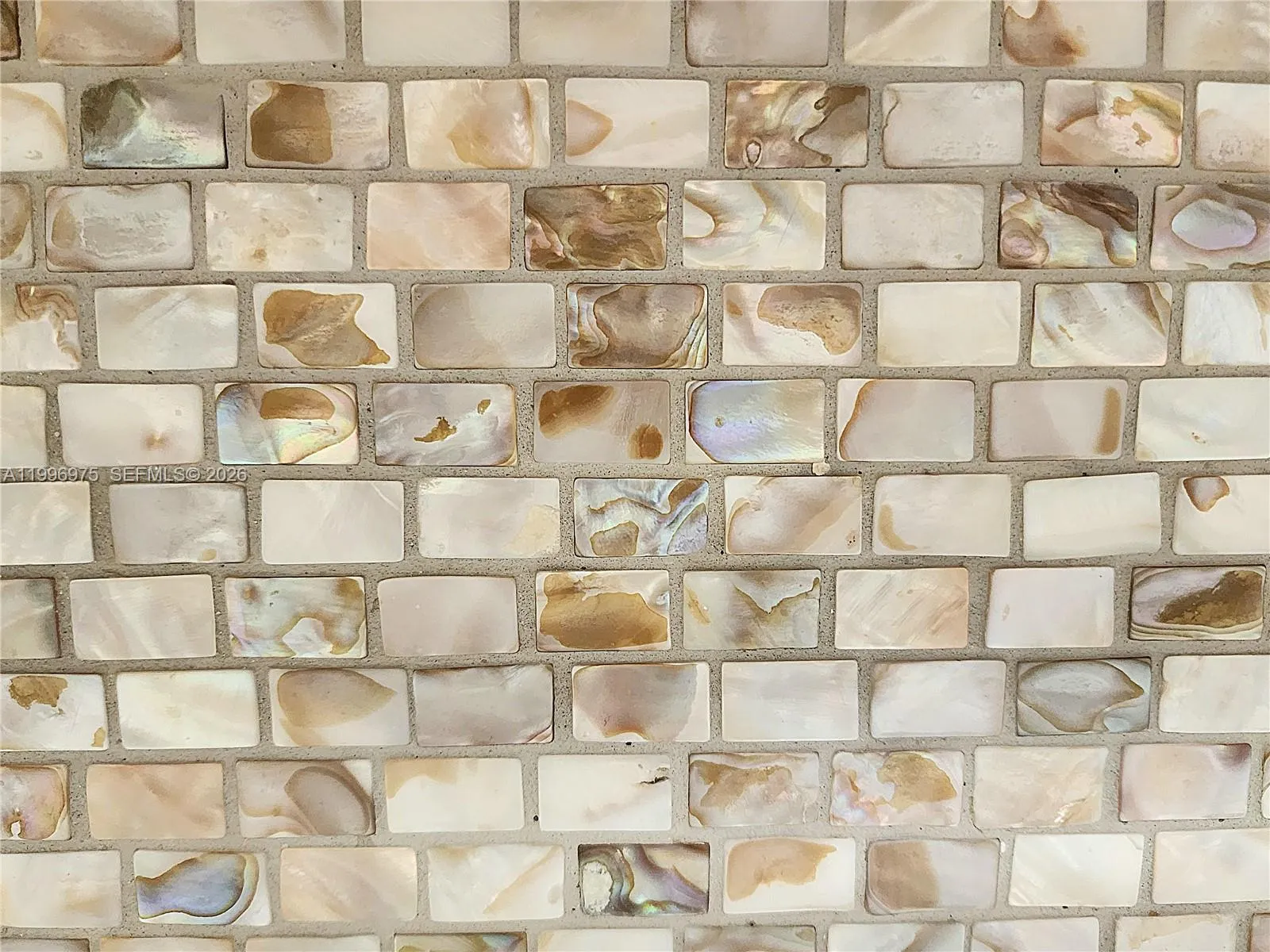 Sea Shell Tile Backsplash