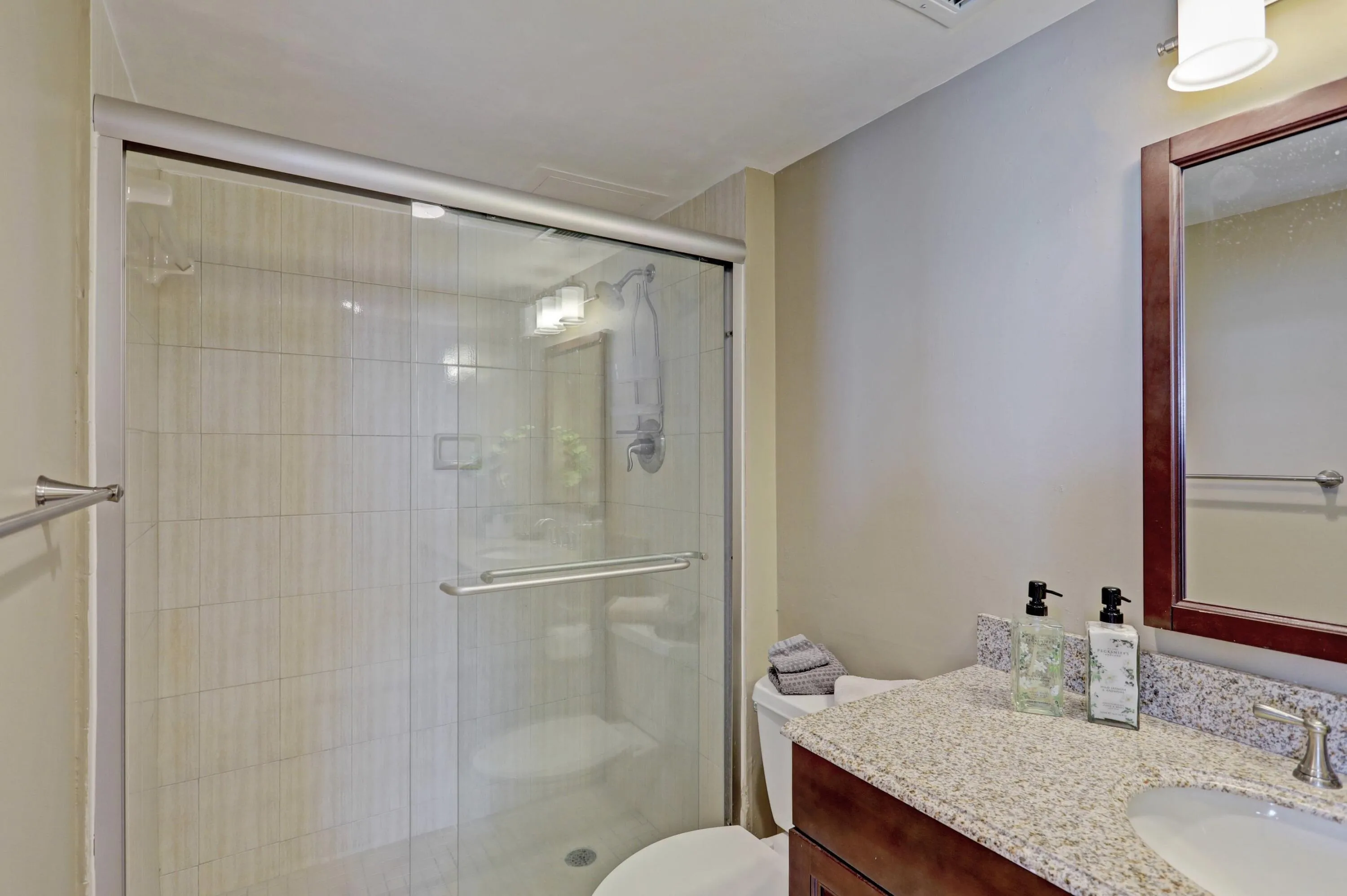 Master Bathroom Shower