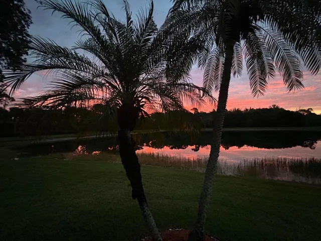 Beautiful sunrise