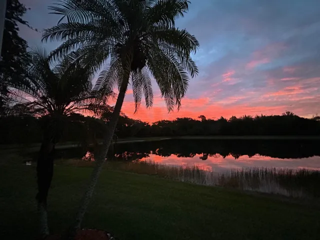 Patio View