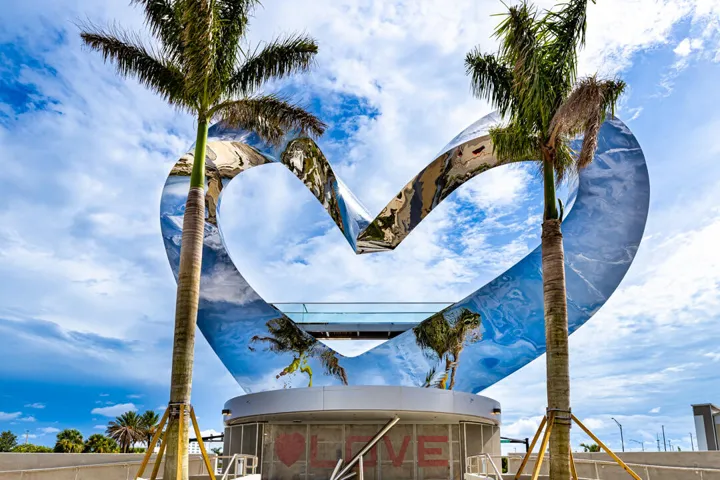 The Heart
