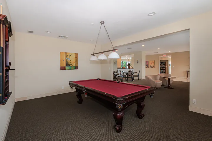 BILLIARDS AREA
