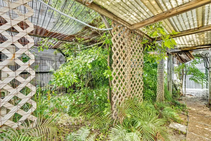 Side Yard
