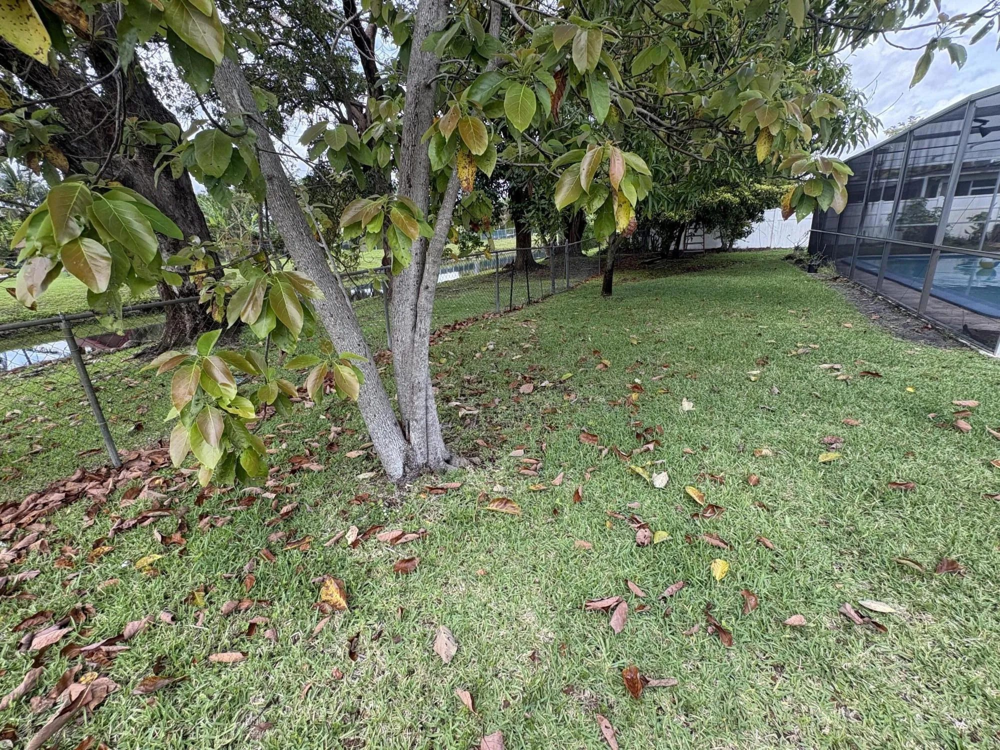 Property photo 35