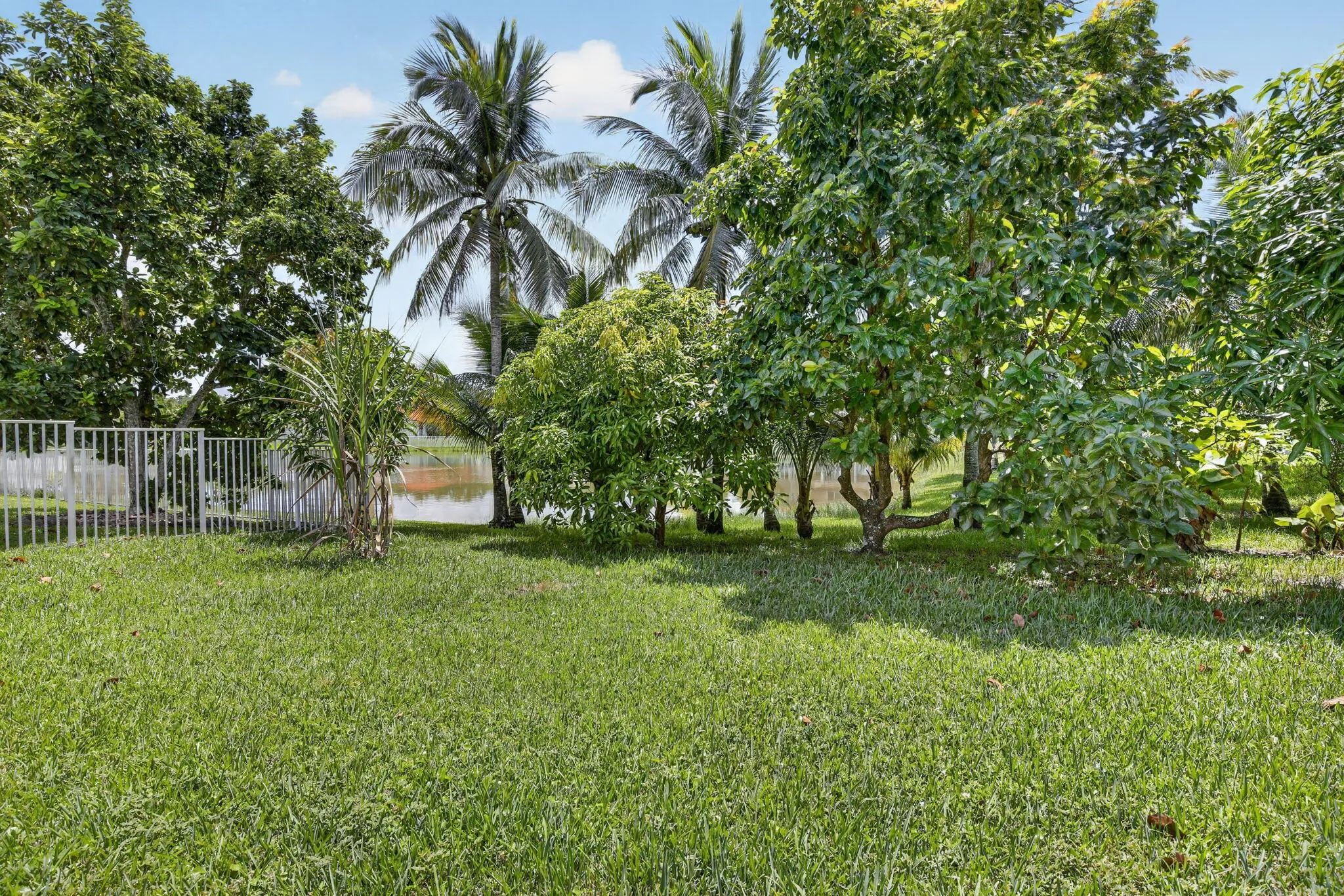 Property photo 43