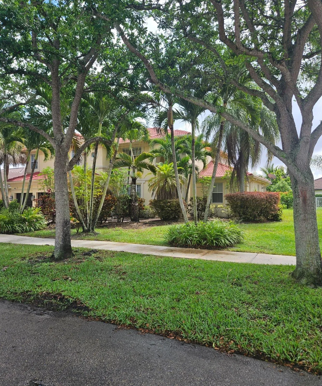 Property photo 93
