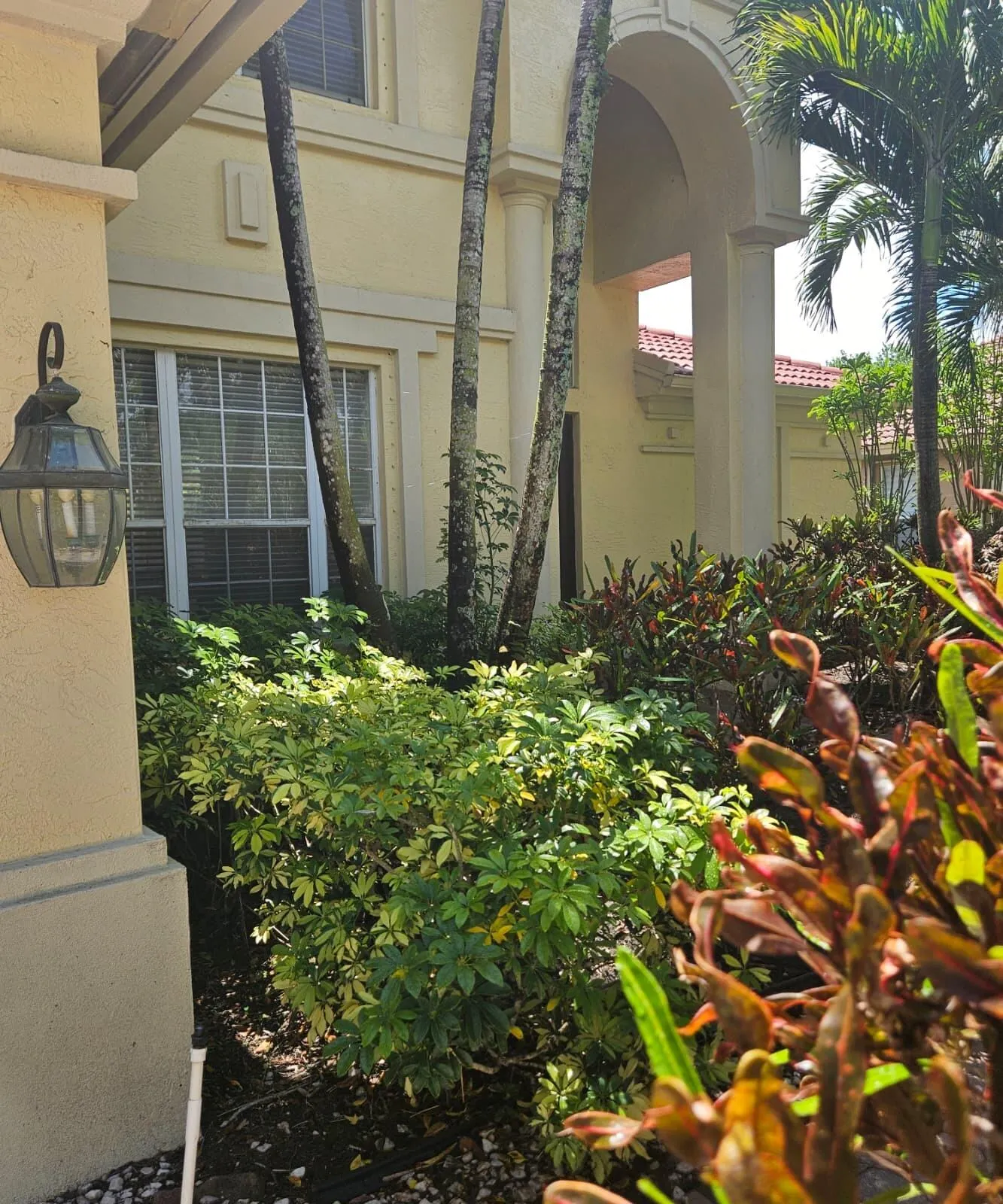 Property photo 87