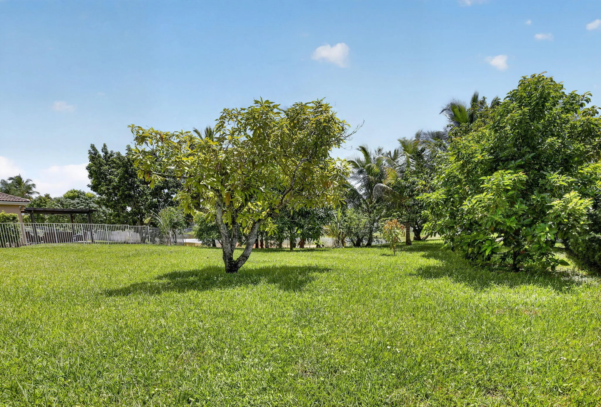 39-web-or-mls-_A7A2160