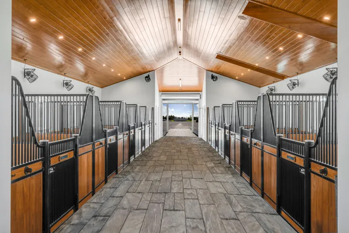 37_5181_Lasso_Way_15_aw_mls