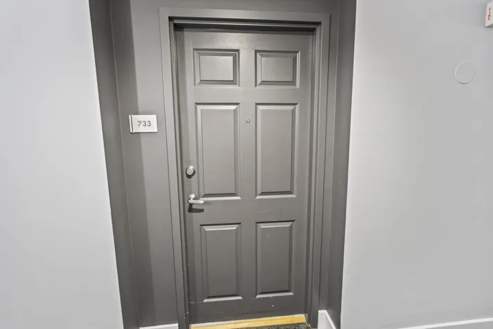 Door 733