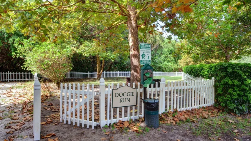 Dog Park