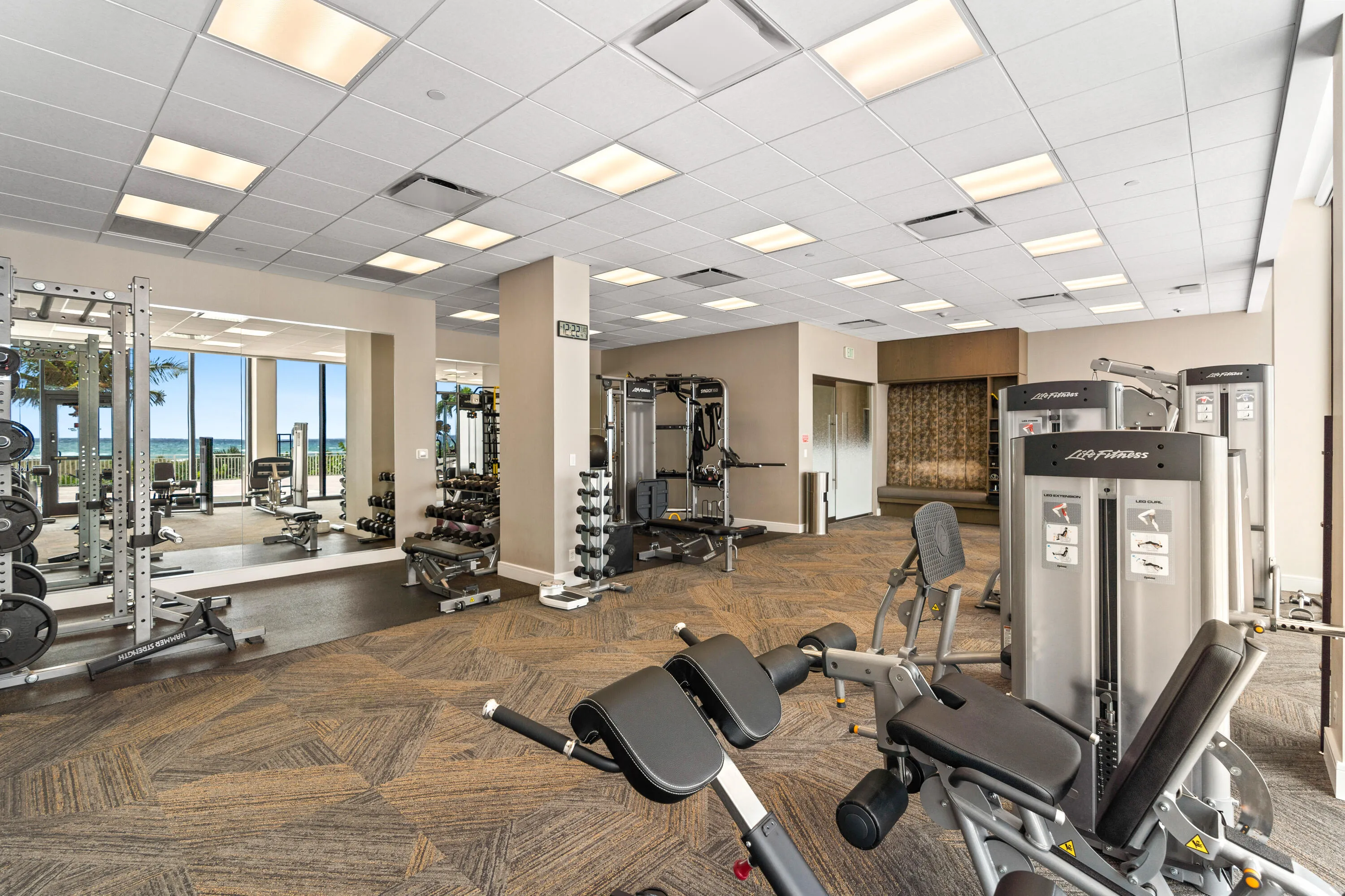 GYM