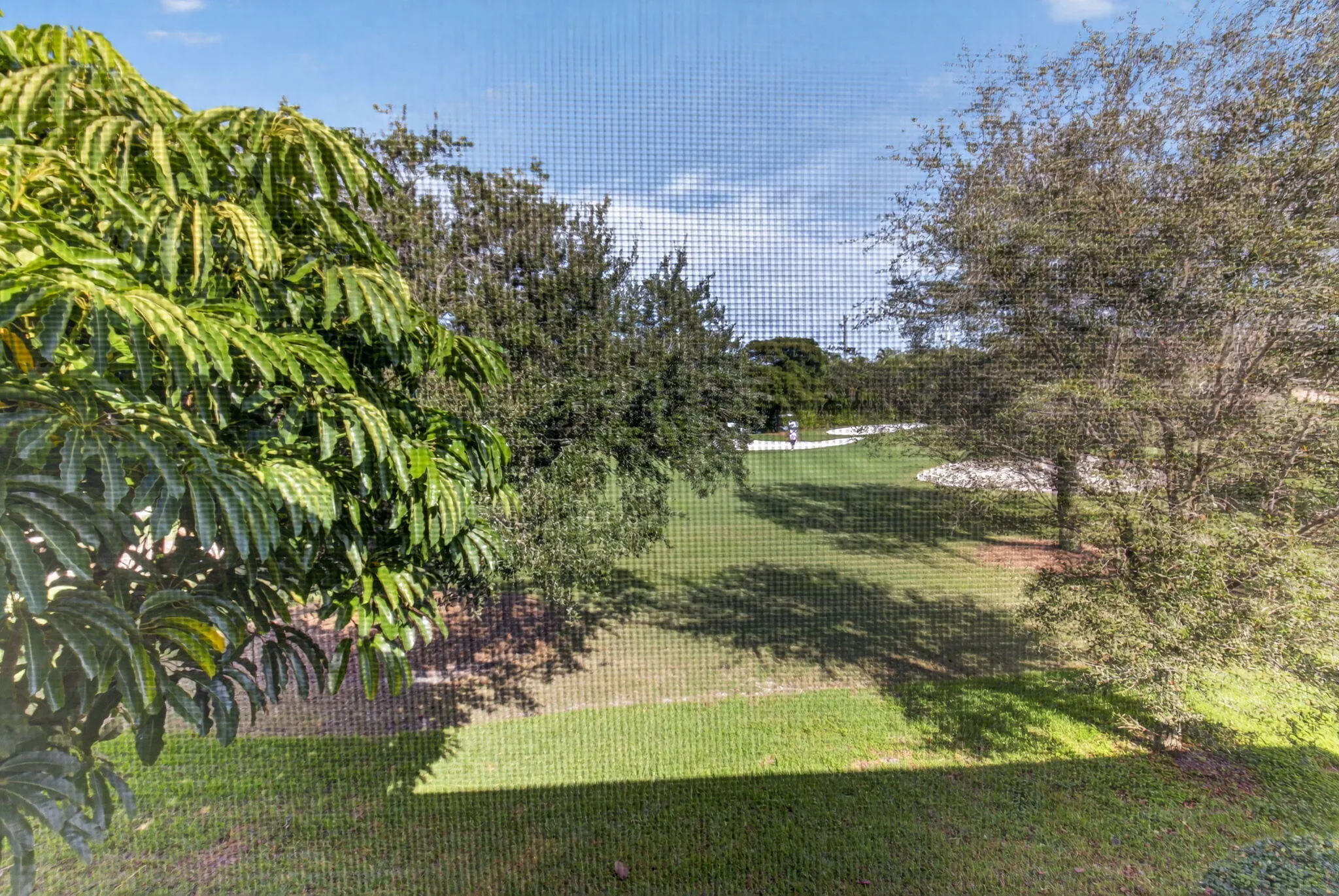Property photo 37