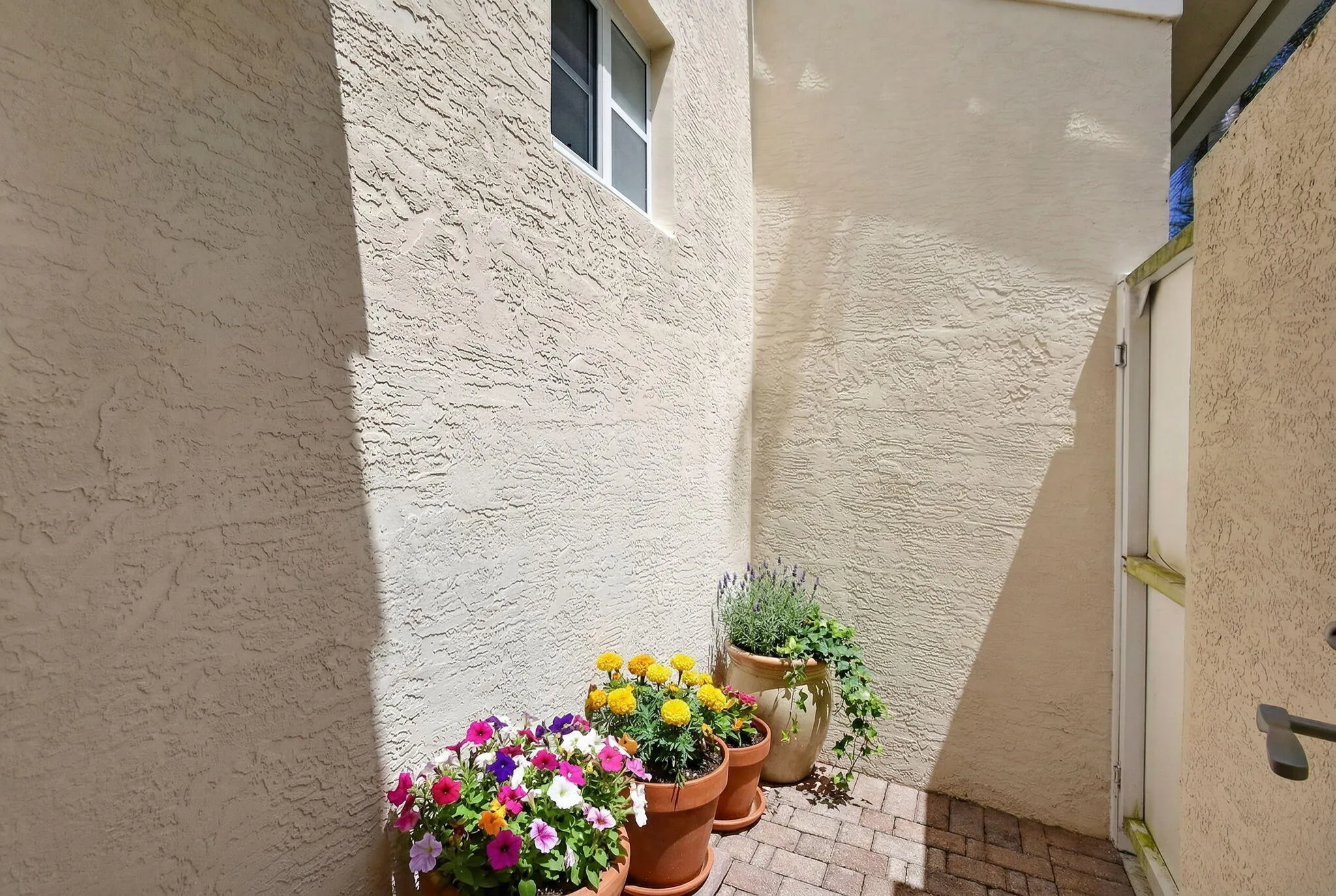 Property photo 53