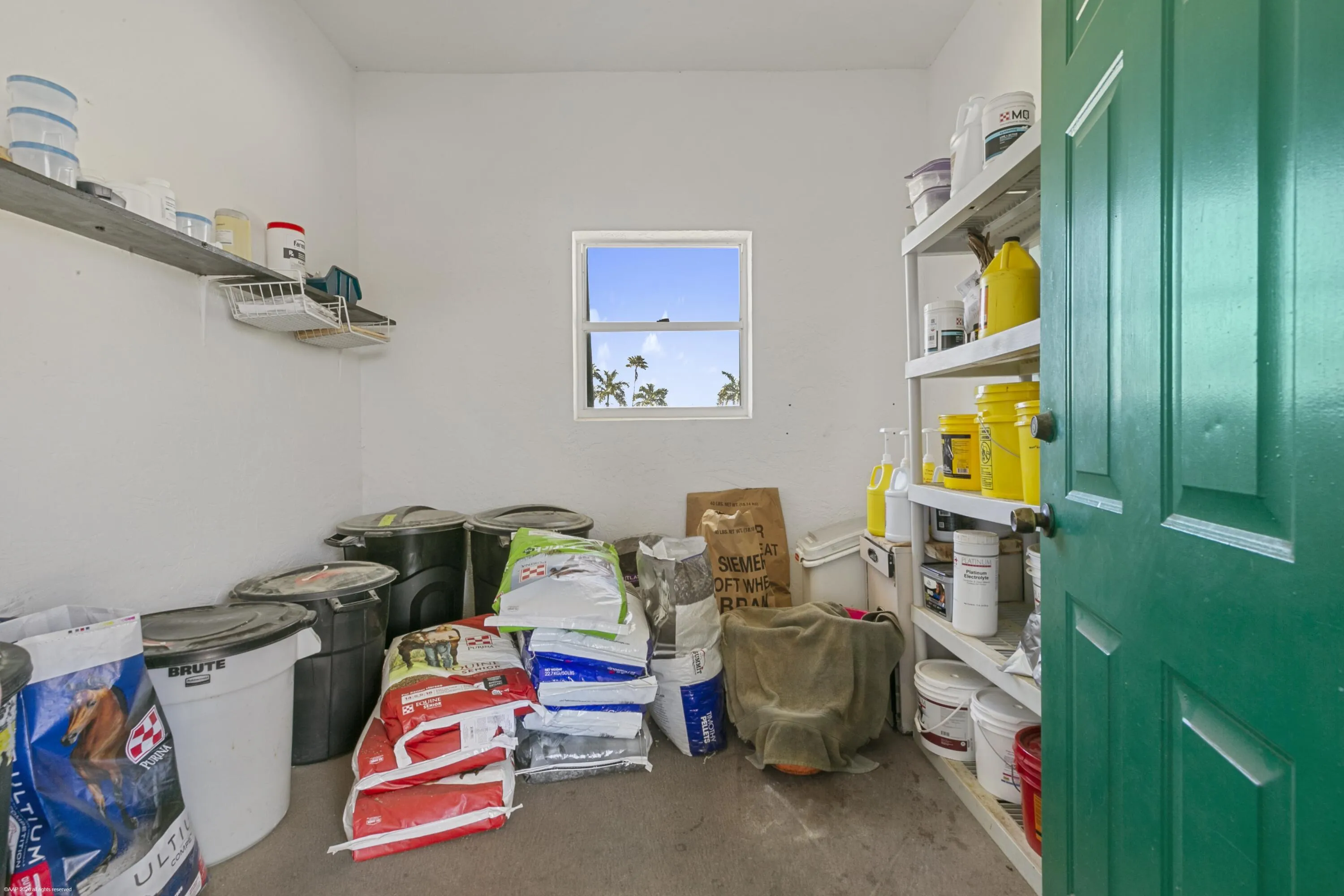 Property photo 41