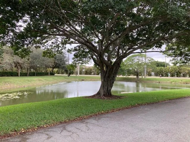 LAKE NEAR ENTRANCE