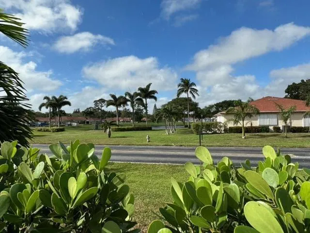 LAKE ACROSS THE STREET